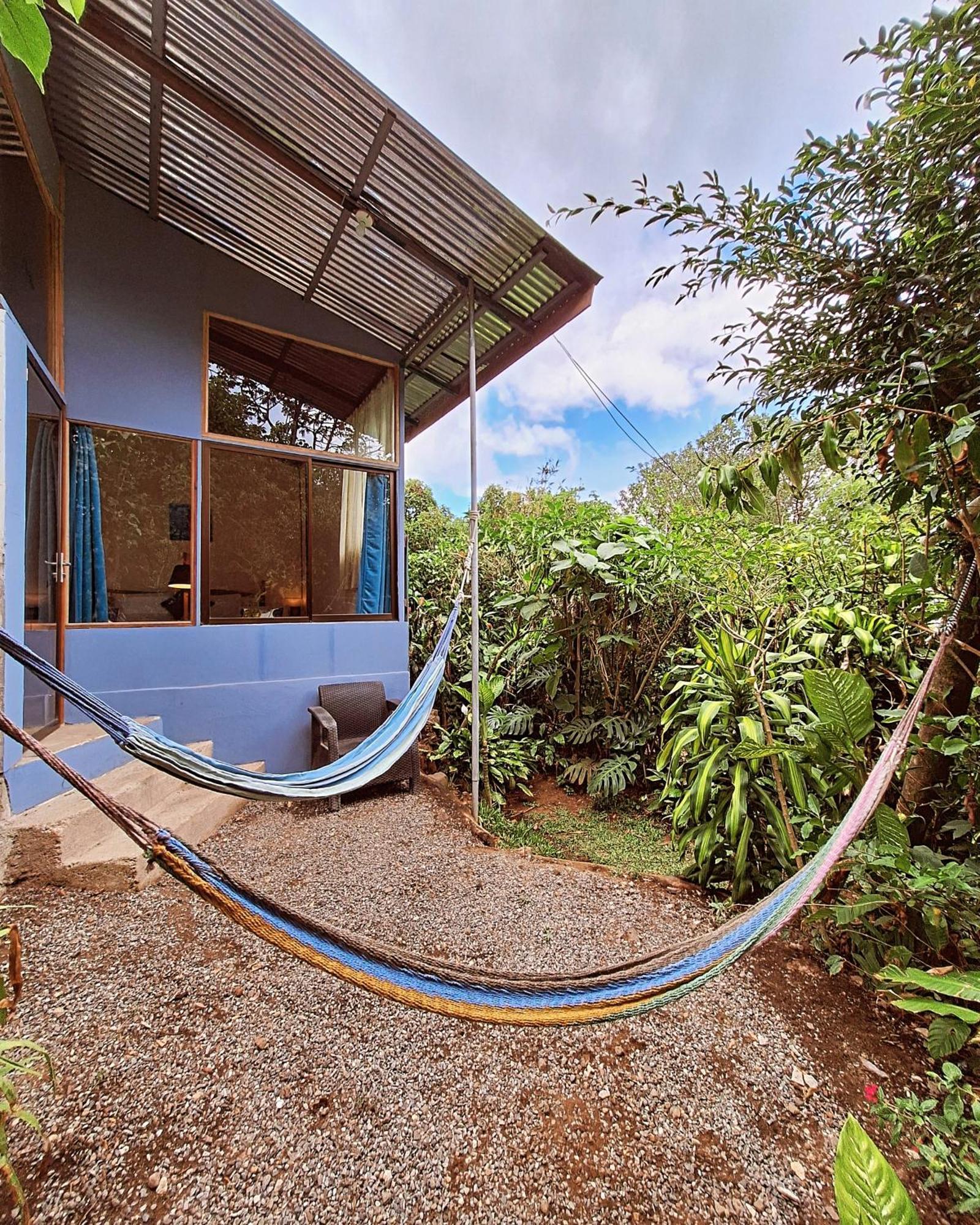 Monteverde Cecropia Paradise Pokoj fotografie