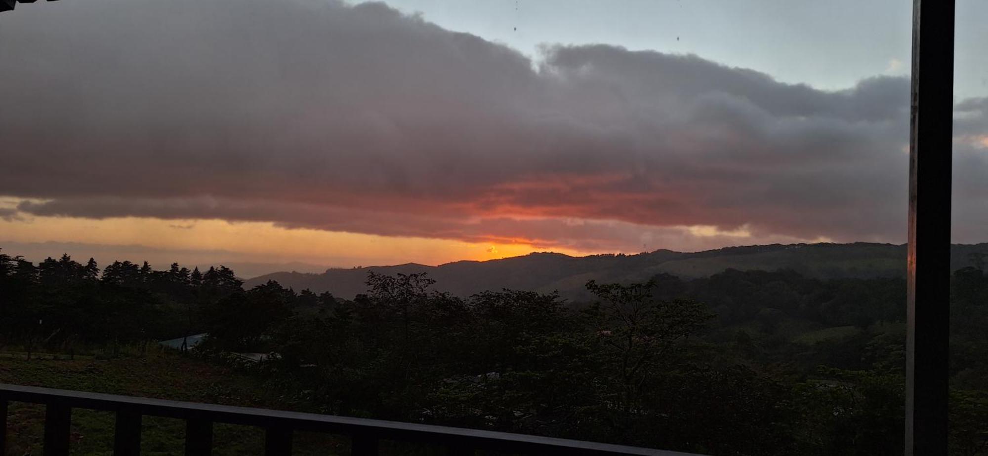 Monteverde Cecropia Paradise Pokoj fotografie